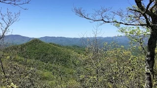 NC Appalachian Trail: Stecoah Gap to Yellow Creek Mtn. Rd.