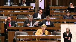 91Nationalratssitzung, Teil 6 Alev Korun Grüne 2015 02 25 0900 tl 06 Politik LIVE Alev Korun  Gr