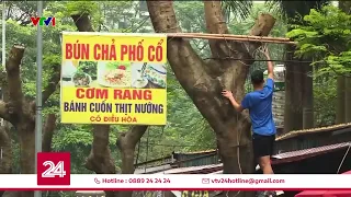 Hàng loạt cây xanh ở Hà Nội bị cắt trụi, treo biển quảng cáo | VTV24