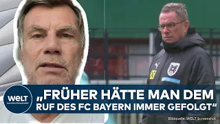 FC BAYERN: Ralf Rangnick sagt ab, wer kommt jetzt? - WELT im Interview mit Thomas Helmer