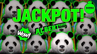 RECORD BREAKING!!! 🐼 90 MIN STRAIGHT! NON STOP BONUSES & A JACKPOT! A TRIBUTE TO ALBERT!!! #Casino