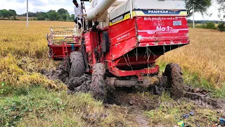 Massey Ferguson harvester stuck in mud Rescued by Mahindra tractor |tractor videos|