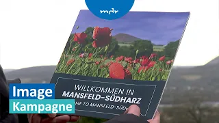 Mansfeld-Südharz wirbt um neue Zuzüge | MDR um 4 | MDR