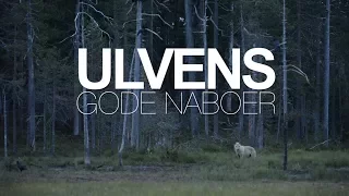 Ulvens Gode Naboer - dokumentar