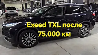 Проверка Exeed TXL после 75000 км, диагностика авто перед покупкой. Автоподбор 812