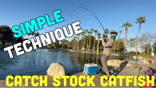 STOCK CATFISH?? SIMPLE TECHNIQUE & TIPS