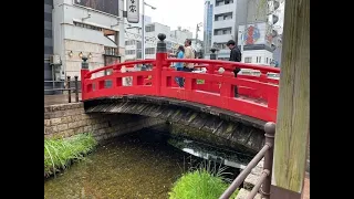 What a amazing trip to Japan/ Kochi gourmet town