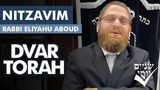 Shnayim Yomi - Nitzavim - D'var Torah