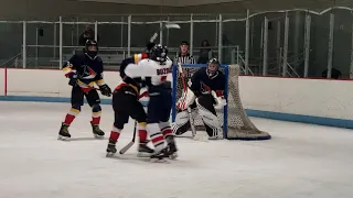 12U Hockey Fight