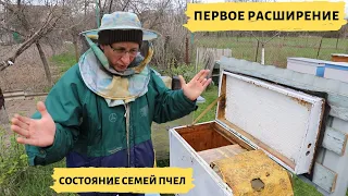 Первое расширение семей пчёл после зимовки