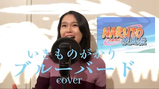 いきものがかり◾︎ブルーバード◾︎NARUTO疾風伝◾︎OP