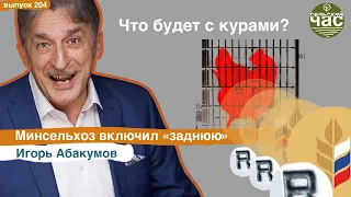 Что будет с курами? Сельский час # 204 (Игорь Абакумов)