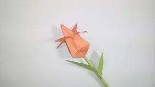 Origami Tulip Flower | How to Make a Paper Tulip Flower | Easy origami tulip flower instructions