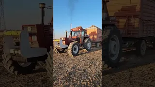 fiat 110-90 #farming #keşfet #tractor #agriculture #shorts #fiatagri #viral #viralvideo