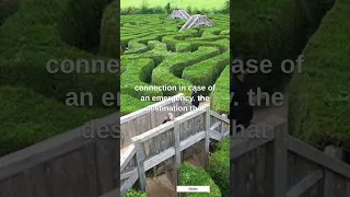 Mysterious hedge maze to get lost in.