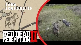 CÓMO CAZAR AL LOBO LEGENDARIO || Red Dead Redemption 2