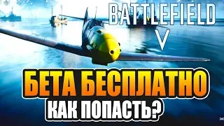 Battlefield V: Как скачать и играть в открытую бету Battlefield 5 бесплатно