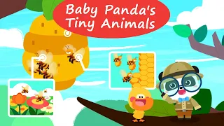 Baby Panda's Little Animal Kingdom - Discover the Secrets of Tiny Animals! | BabyBus Games