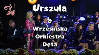 Konik na biegunach - Urszula i Wrzesińska Orkiestra Dęta