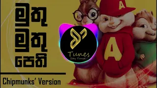 y2mate com   Muthu Muthu Big Doggy Ft  MasterD  Chipmunks Version  Alvin Version  yTunes 1080pFHR