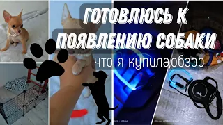 🐾Готовлюсь к появлению собаки🐶 / мои покупки,обзор,сколько денег ушло?!😱😱😱