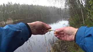 Рыбалка и разведка дикого лесного озера в Швеции.