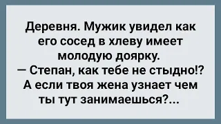 Мужик в Хлеву Застал Соседа с Дояркой! Сборник Свежих Анекдотов! Юмор!