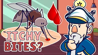 Why Do Mosquitos Bite? What Attracts Mosquitoes