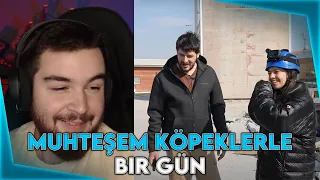 H1vezZz Muhteşem Köpeklerle Bir Gün İzliyor (@NoluyoYaa )