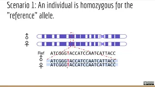 Applied Computational Genomics - 07 - Detecting Genetic Variation Part 1.