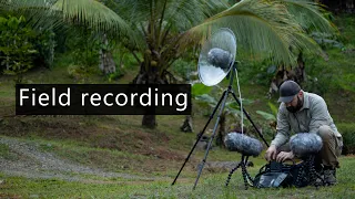 Field recording behind the scenes 34 - Dealing with rain in Costa Rica