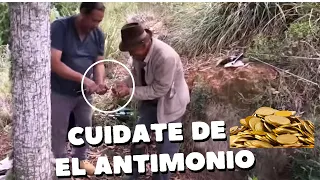 SI QUIERES ENCONTRAR ORO ¡DEBES SABER ESTO¡ (ANTIMONIO)