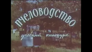 Пчеловодство учебный кинокурс  Cовременные методы содержания и разведения пчел  Центрнаучфильм 1969