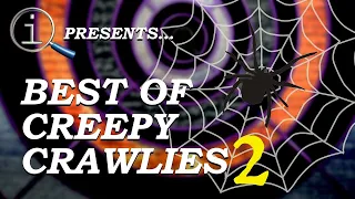 QI Compilation | Best Of Creepy Crawlies 2