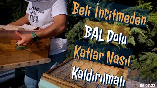 Beli İncitmeden BAL Dolu Katları Nasıl Kaldırılmalı - Şehirde Arıcı