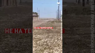 Видео «нашествие саранчи» напугало жителей Атырауской области 😰