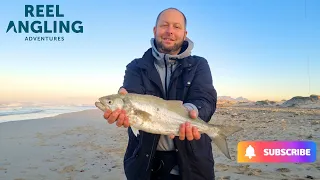 Surprise catch for International Tourists | Fishing Macassar