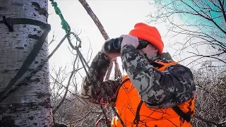 MN Deer Hunt 2017