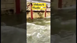 Welcome to Mumbai 🥰. #shorts #shortsvideo #viral #video #youtubeshorts #trending #short #mumbai