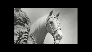 MISTER ED - Monsieur ED Le cheval qui murmurait à l’oreille des Hommes 1 ére partie.