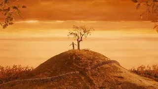 The Cinematography of Fantastic Mr. Fox (2009)