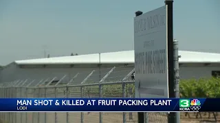Man shot and killed at fruit packing plant in Lodi