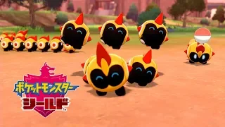 【ポケモン剣盾】タイレーツとキャンプ【ポケモンソードシールド】