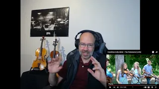Violinist reaction The Petersens Carolina in my mind