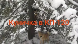 Сезон 2019 охоты на куницу!Часть вторая!