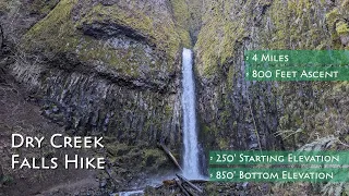 Dry Creek Falls Hike Guide | Cascade Locks, Oregon
