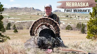 NEBRASKA PUBLIC LAND MERRIAM'S!  -Turkey Hunting NE  days 1 & 2