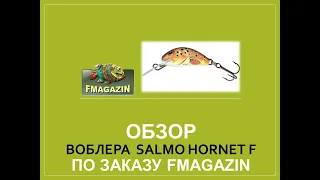 Обзор воблера  Salmo Hornet F по заказу Fmagazin