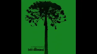 Inti Illimani: Autores chilenos. Stereo. (Disco Completo) 1971-1974. Chile - Holanda.