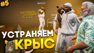 НАВОДИМ ПОРЯДОК В МАФИИ / ВЕЧНЫЙ ЛИДЕР на GTA 5 RP (LAMESA)